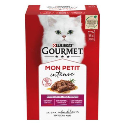 vete12231488-alimento-gatos-gourmet