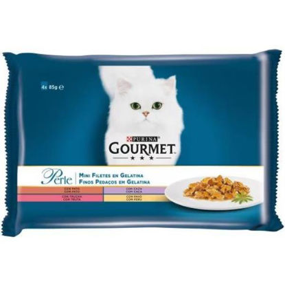 vete12085175-alimento-gatos-gourmet