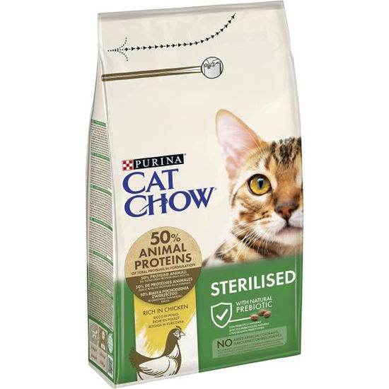 vete12251683-alimento-gatos-cat-cho