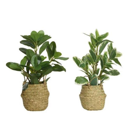 kaem800054-planta-artificial-cesto-