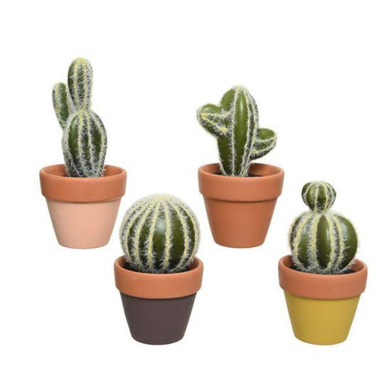 kaem801127-maceta-cactus-stdo-4-mod