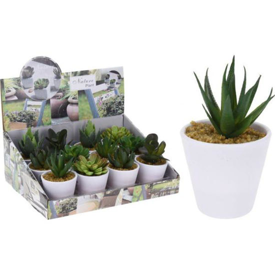 koop317002460-maceta-cactus-9cm-std