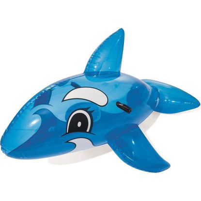 juin41037000-ballena-hinchable-157x