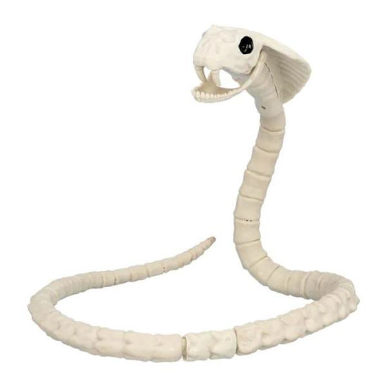 bola72417-esqueleto-serpiente-102cm