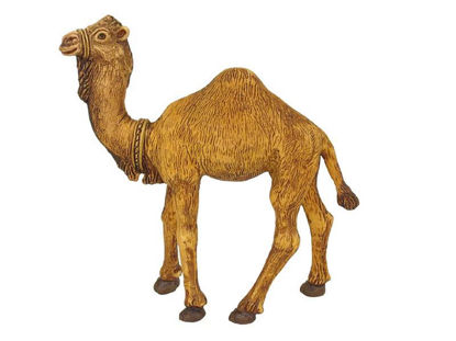 oliv628-camello-8cm-eco-card-628