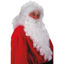 carn2368-peluca-y-barba-gigante-bla