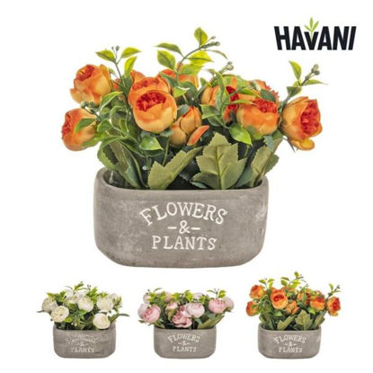 nahu8152-maceta-flowers-&-plants-3-