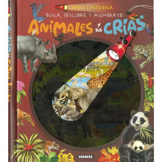 susas3227008-libro-linterna-los-ani