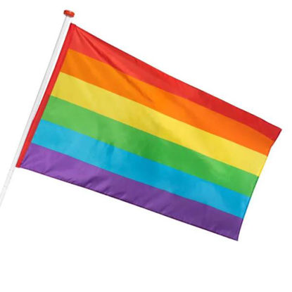 bola44627-bandera-poliester-arcoris