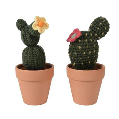 kaem804413-cactus-c-maceta-stdo-2-c