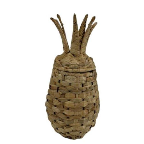 koopcaz104700-cesta-pina-30cm