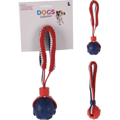 koop491004040-juguete-perros-cuerda