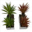weay2886003-maceta-c-planta-16x8x7-