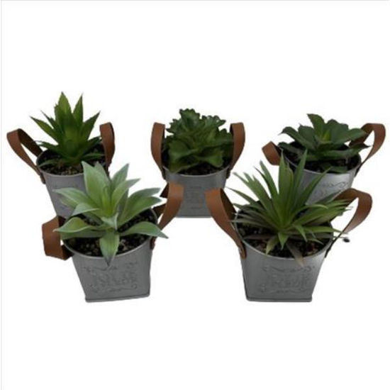 weay2886000-maceta-c-planta-10x8cm