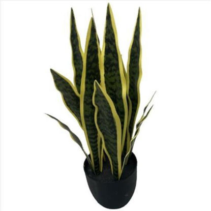 weay289200501-planta-c-maceta-56cm