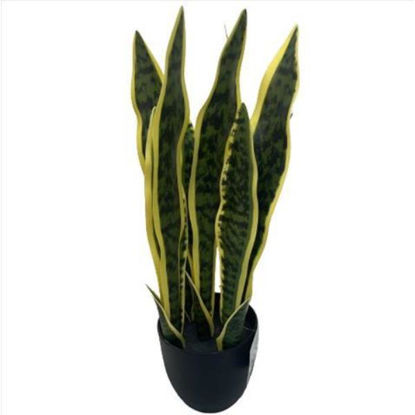 weay2892005-planta-c-maceta-46cm