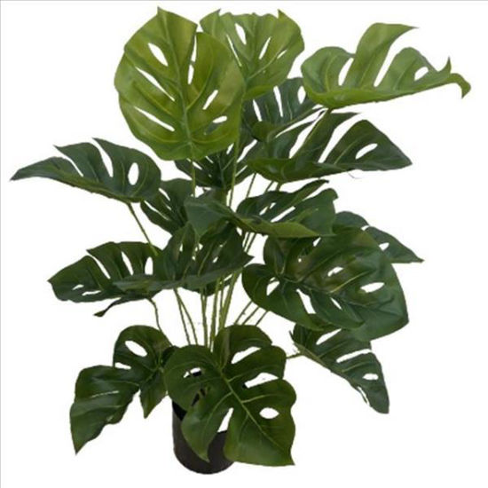 weay2892000-planta-c-maceta-65cm