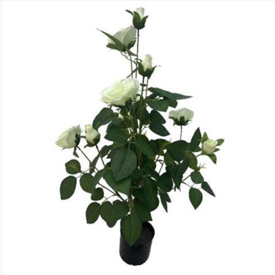 weay2892104-planta-c-flor-y-maceta-