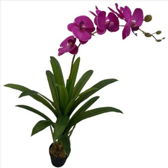 weay289210002-planta-c-flor-y-macet