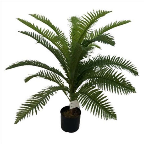 weay2892012-planta-c-maceta-95cm