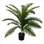 weay2892012-planta-c-maceta-95cm