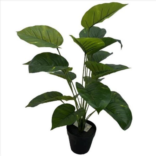 weay2892002-planta-c-maceta-72cm