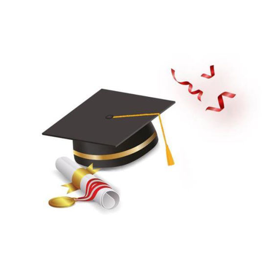 poes332165-birrete-graduacion