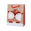 kaem451799-bolsa-regalo-papel-navid
