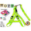 leiv51131-arnes-correa-120cm