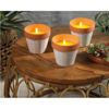 kaem886865-vela-citronela-macetas-s