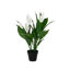 kaem835094-calas-blancas-artificial
