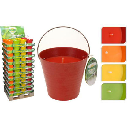 koop420000040-cubito-vela-citronela