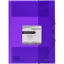 graf4801835-carpeta-pp-fº-gomas-vio