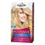 cash66041-tinte-palette-intensive-n