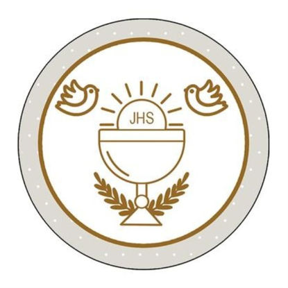 sarfpo016-adhesivo-caliz-beig-35u-