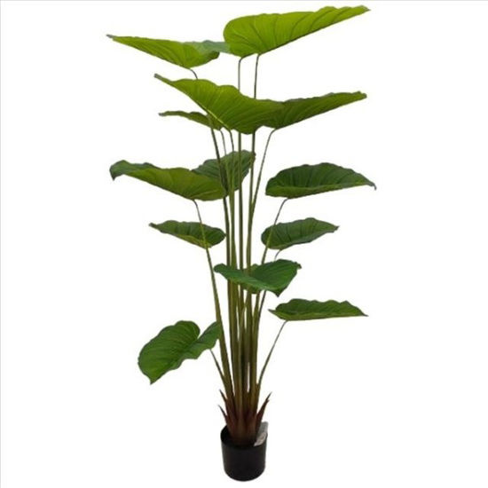 weay289203801-planta-175cm-c-maceta