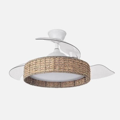 ilum242991368-ventilador-dc-canario