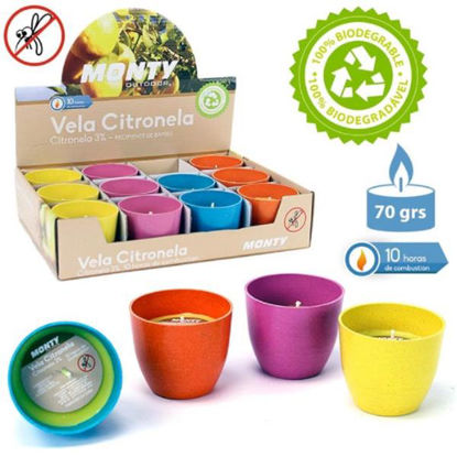 juin82280-vela-citronela-bambu-reci