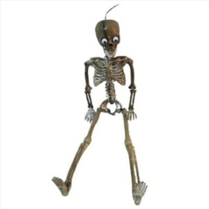 weay1887069100-esqueleto-halloween-