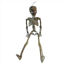 weay1887069100-esqueleto-halloween-