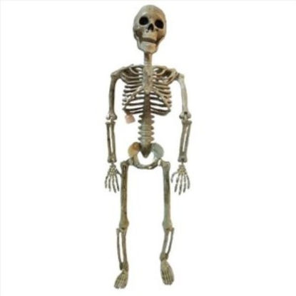 weay188706960-esqueleto-halloween-6