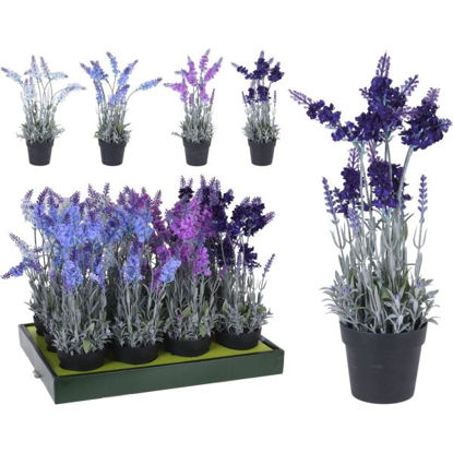 koop317002750-maceta-lavanda-40cm-m