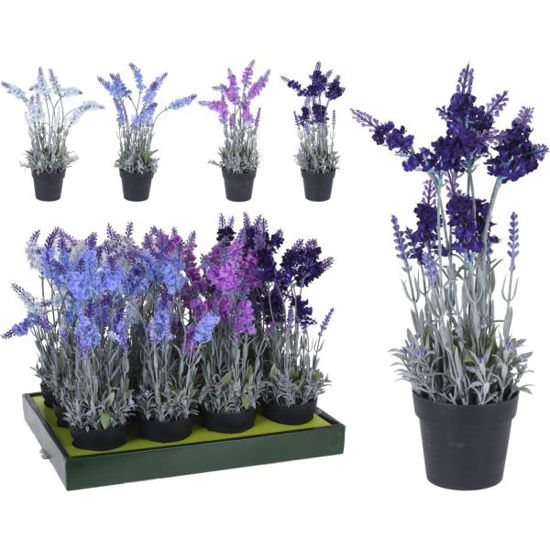koop317002750-maceta-lavanda-40cm-m