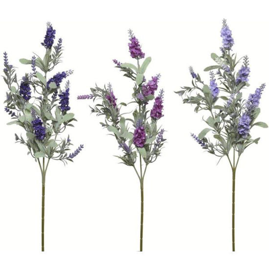 kaem801416-vara-lavanda-stdo-3-colo