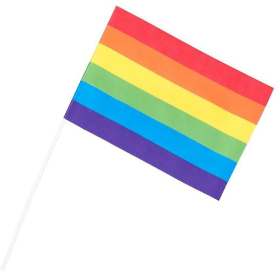 bola44735-bandera-arcoiris-6u-20x14