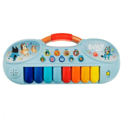 reig2438-organo-electronico-bluey
