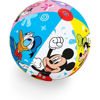 fent91098-pelota-playa-disney-junio