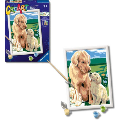 rave20048-pintar-c-numero-retriever