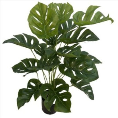 weay2892000-planta-c-maceta-65cm