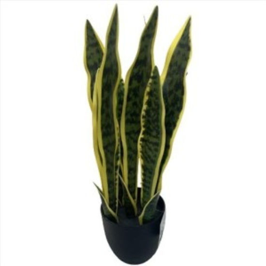weay2892005-planta-c-maceta-46cm